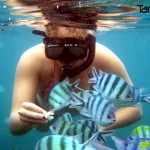 Snorkeling Tanjung Benoa Bali