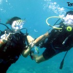 Scuba Diving Tanjung Benoa Bali