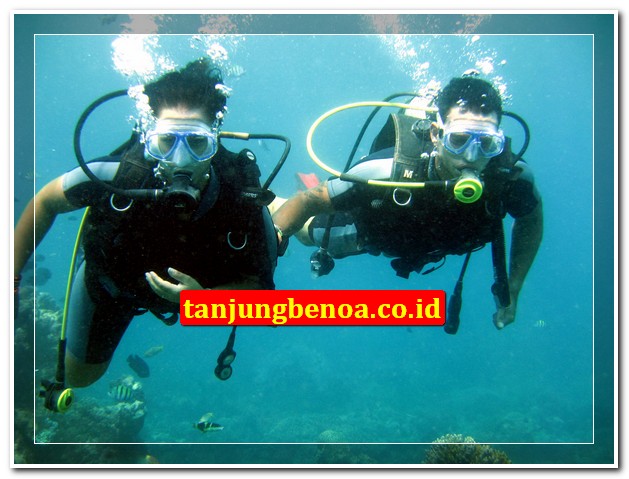 Scuba diving Tanjung Benoa Bali