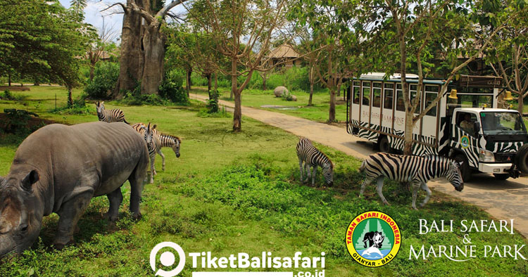 Bali Safari Park