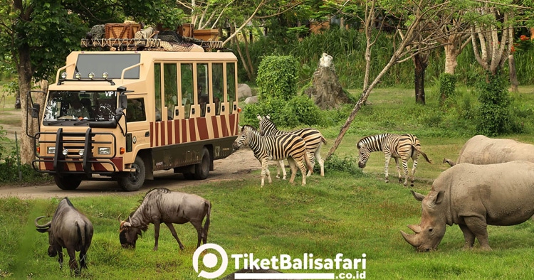 Bali Safari Park