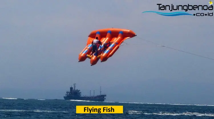 Flying Fish Tanjung Benoa