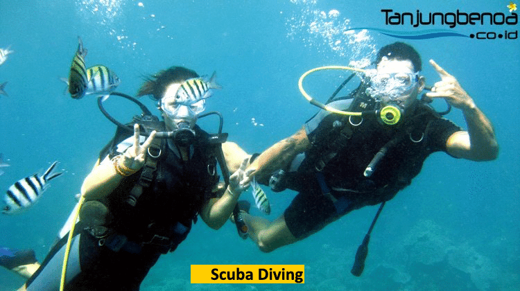 Scuba diving Tanjung Benoa