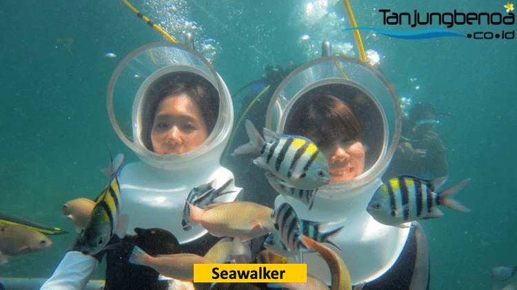 Seawalker Tanjung Benoa