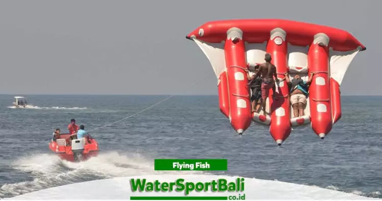 Flying Fish Tanjung Benoa