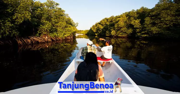 Hutan Bakau Tanjung Benoa