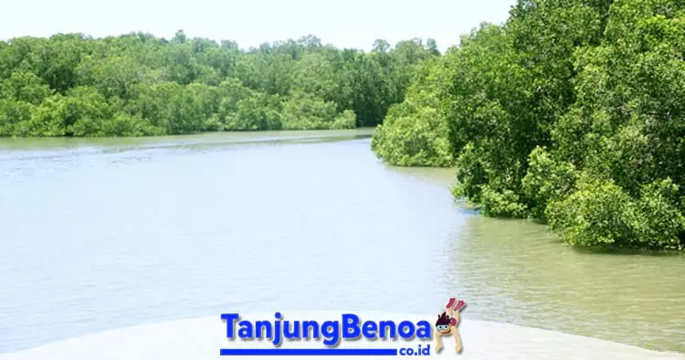 Hutan Mangrove Tanjung Benoa