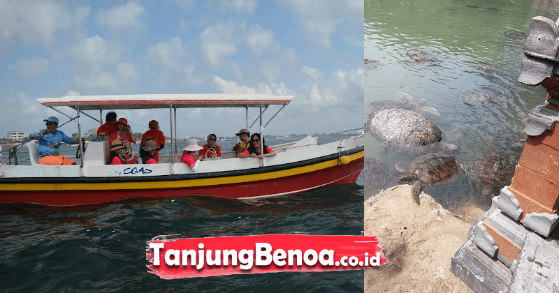 Glass Bottom Boat + Pulau Penyu Bali