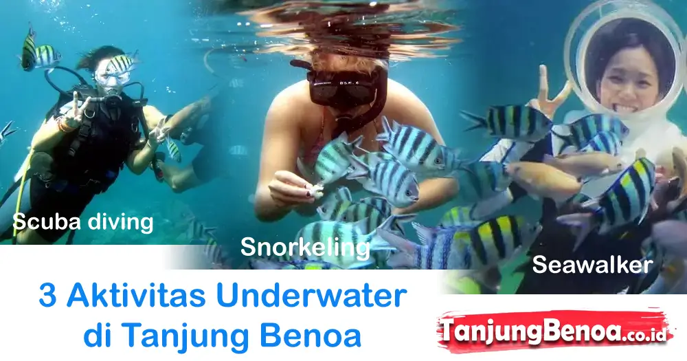 3 Aktivitas Underwater di Tanjung Benoa yang Wajib Dicoba!