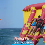 Flying Fish Tanjung Benoa