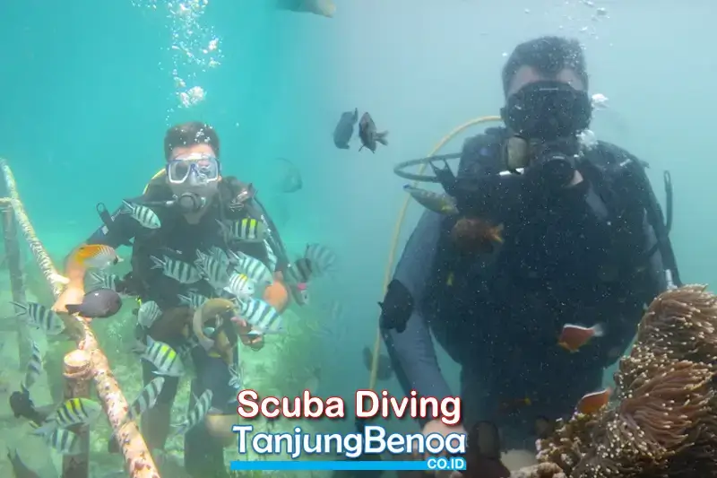 Scuba Diving Tanjung Benoa
