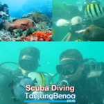 Scuba Diving Tanjung Benoa