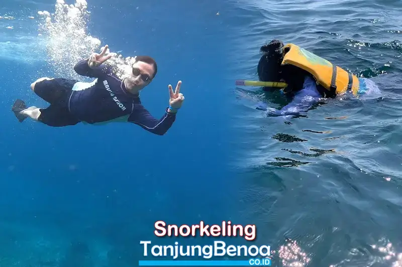 Snorkeling Tanjung Benoa Bali
